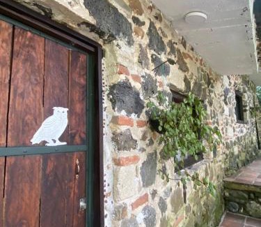 El Carrizal Hotel | Valle de la Pitaya