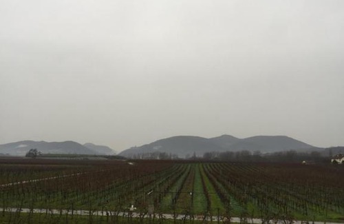 Heuchelheim-Klingen Apartment | Valley ferienwohnung SÜW