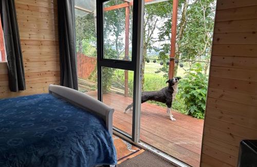 Ahascragh Other | Valley view cabin in the woods on a farm
