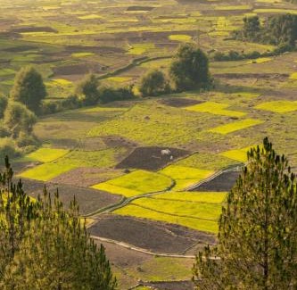 Majkhali House | Valley View Homestay Kausani