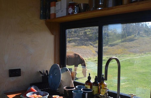 Bowman Farm House | Valley Views Off-Grid Cabin - Pet Friendly - Nicho