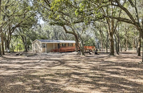 Valrico House | Valrico Retreat with Fire Pit about 18 Mi to Tampa!
