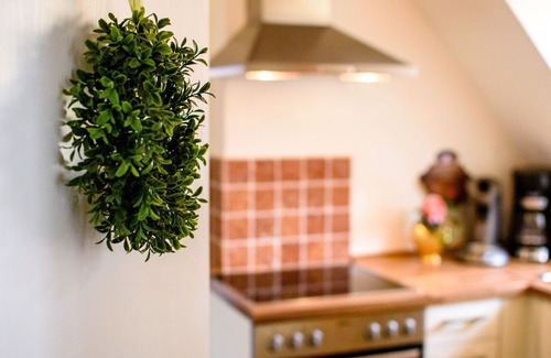 Bracht Apartment | VALUE HOUSE | holiday home