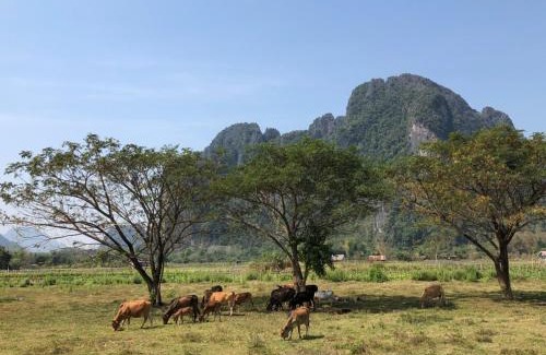 Vang Vieng Hotel | Vang Vieng Romantic Resort