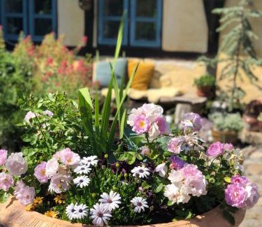 Store Heddinge Bed & Breakfast | Vangeled Gaard B&B - Apartments
