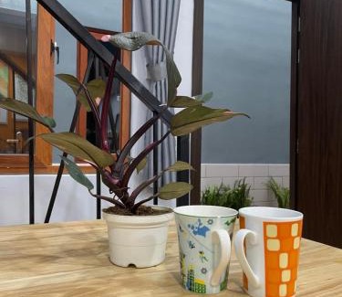 Go Vap Apartment | VANIA HOUSE - cozy studio near the airport