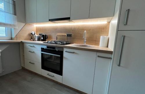 Siauliai Apartment | Vanilės home