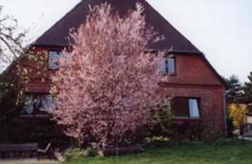 Kittlitz Apartment | Variant 2: Holiday apartment, 2 bedrooms (bedroom 1+2) - Hof am See