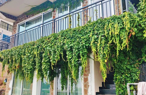 Murree Apartment | Varioline Apartment Murree Near Mall Road Or Chairlift