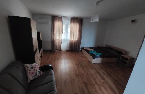 Slatina Apartment | Varipatti House