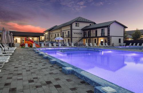 Solotvyno Hotel | VASOK Hotel NEW 2025
