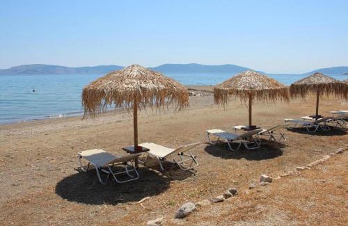 Plepi House | Vassia Holiday Home's