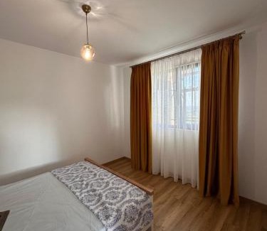 Sarulesti House | Vatra Sloveanu