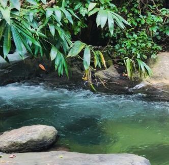 Malappuram House | Vayalil Homestay