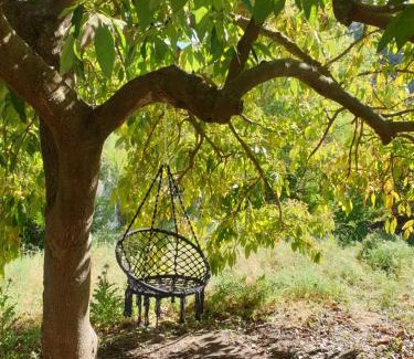 Coin Bed & Breakfast | Vegan Guesthouse Finca Pereila