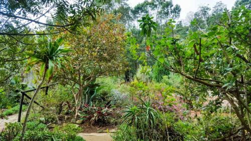 Mbabane Cabin | Veki's Village Cottages