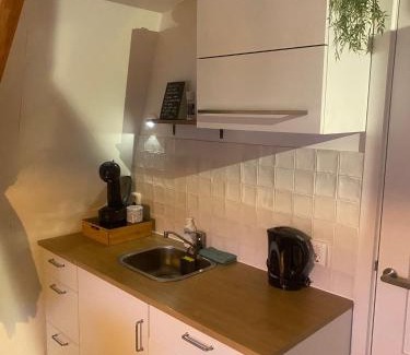 Municipality of Leiden Apartment | Veldhorst Apartments