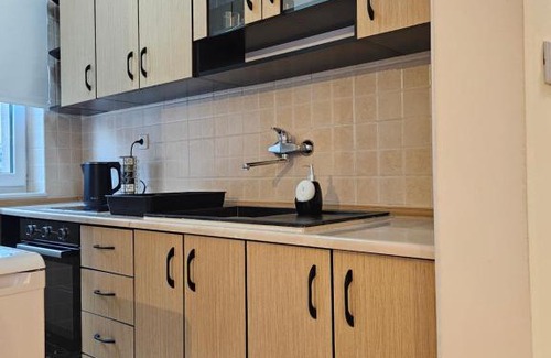 Pale Apartment | Velike Šume Apartment