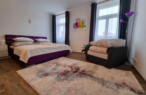 Hradec Kralove Apartment | Velké studio na Velkém náměstí s vybavenou kuchyní