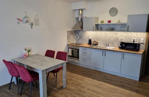 Hradec Kralove Apartment | Velké studio na Velkém náměstí s vybavenou kuchyní