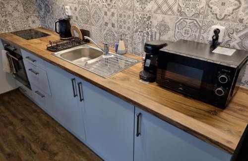 Hradec Kralove Apartment | Velké studio na Velkém náměstí s vybavenou kuchyní