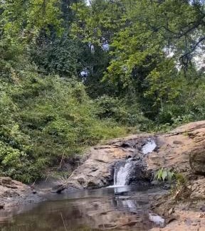 Mar de Espanha Other | Venda da Minerva