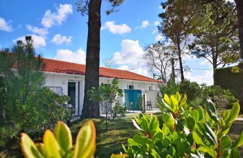 Saint-Hilaire-de-Riez Hotel | Vent d'Eden Park Hôtel