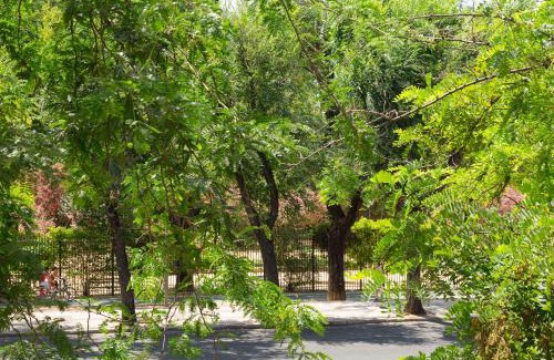 San Bernardo Apartment | Veoapartment Jardines Murillo