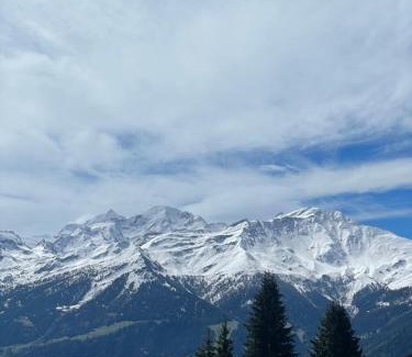 Verbier Apartment | Verbier Luxury Apartment - Newly Renovated - 4 Guests