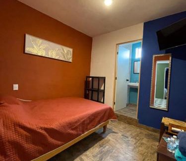 Xilitla Bed & Breakfast | verde amanecer