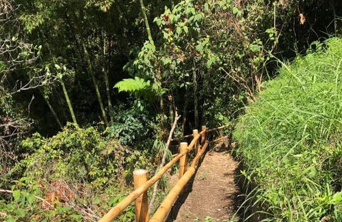 Ibague Ski Chalet | Verde Selva