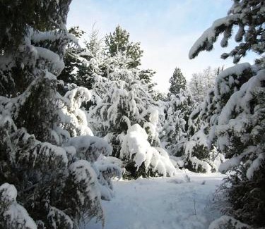 Villa Catedral House | Verde Sol