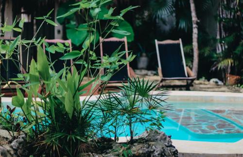 Chemuyil Bed & Breakfast | VerdeAmar Eco Lodge Jungle Retreat