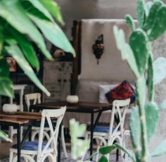 Chemuyil Bed & Breakfast | VerdeAmar Eco Lodge Jungle Retreat