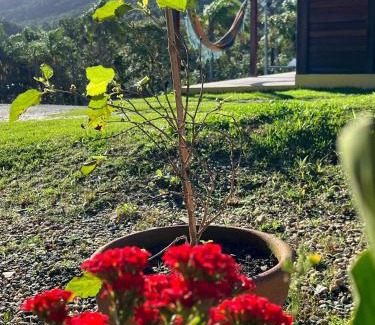 Praia da Armacao do Itapocoroi Ski Chalet | Verdemar Chalés