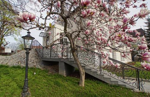 Dzierzoniow Hotel | Versant Hotel & Spa