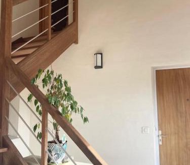 Salies-de-Bearn Apartment | VERT ANIS- Appartement T2 lumineux, très bien équipé, proche centre-ville