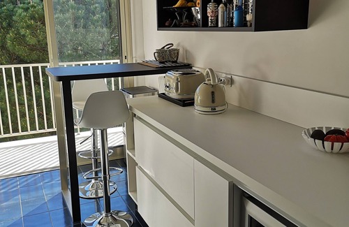 French Riviera Apartment | Very large two-room apartment with beautiful sea and mountain views