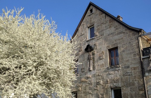 Randersacker House | Very large vacation apartment/house