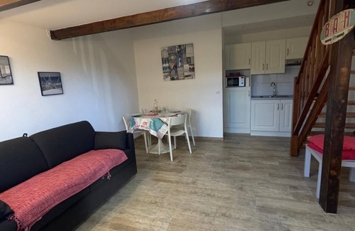 La Capte Apartment | Very nice air-conditioned apartment 30 m2-direct access to the sea-feet in the water