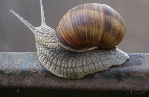 Sieverstedt Apartment | Very nice apartment for nature lovers