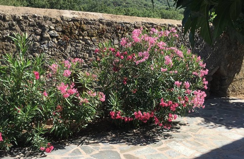 Avapessa House | Very nice Gite. House 250 m2 6 bedrooms swimming pool spa