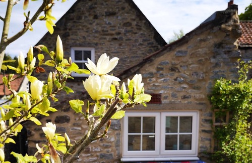 Skeeby Cottage | Very pretty Yorkshire stone cottage
