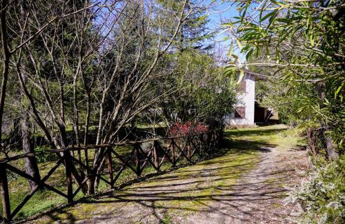 San Vito sullo Ionio Bed & Breakfast | Verzura Bed and Breakfast