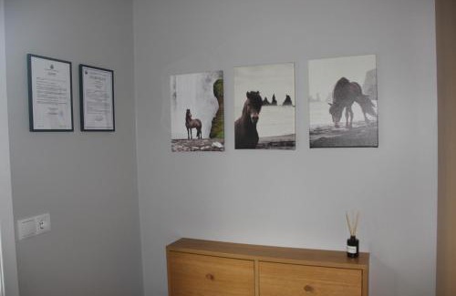 Olafsvellir House | Vesturkot horse farm Guesthouse