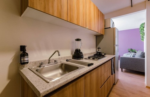 Miguel Hidalgo Apartment | VH | Depa familiar + gym | Cerca Polanco | 429