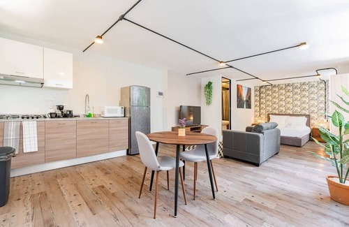 Roma Sur Apartment | VH | Loft Condesa + wifi and roof + washer | 253