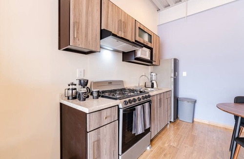 Zona Rosa Apartment | VH | Loft @Roma Nte | Laundry + rooftop | 310