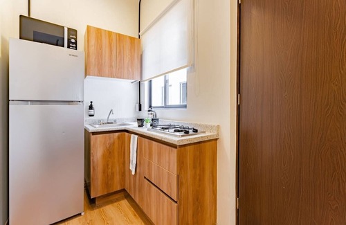 Miguel Hidalgo Apartment | VH | Single Apt cerca de Polanco |gym and wifi | 413