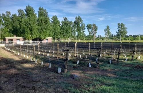 Rama Caida Apartment | VIÑAS DEL SOL